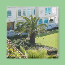 Palm  at Oceanside CA magnets