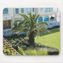 Palm at Oceanside CA mousepads