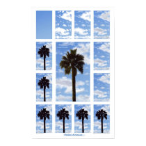 Palm Avenue - Progressive posters by Bigfoot Palm Avenue - Progressive posters