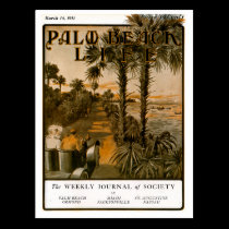 Palm Beach Life #17 postcard postcards