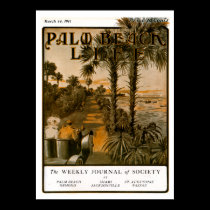 Palm Beach Life #17 print posters