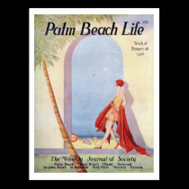 Palm Beach Life #18 postcard postcards