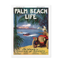Palm Beach Life #19 postcard