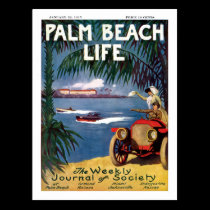 Palm Beach Life #19 postcard postcards