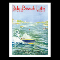 Palm Beach Life #2 postcard postcards