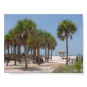 Palm Beach posters by mountain_dewey Palm Beach posters