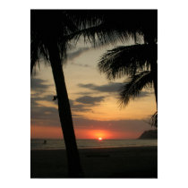 palm beach posters by roseroserose palm beach posters