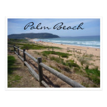 palm beach scene post card