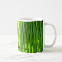 Palm mugs