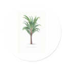 Palm collection - Drawing III stickers