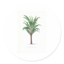 Palm collection - Drawing III stickers