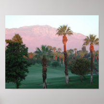 Palm Desert Poster