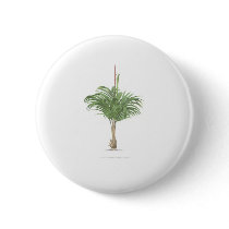 Palm drawings Collection buttons by palmimages Palm drawings Collection buttons