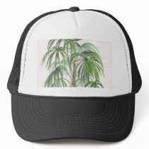 Palm drawings Collection hats