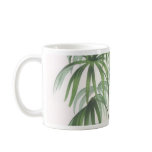 Palm drawings Collection