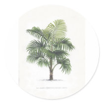 Palm drawings Collection stickers by palmimages Palm drawings Collection stickers