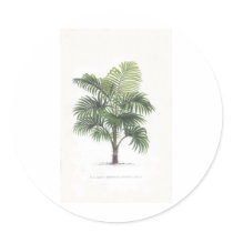 Palm drawings Collection stickers by palmimages Palm drawings Collection stickers
