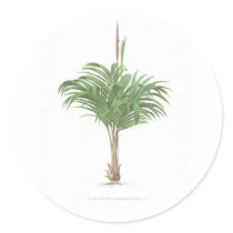 Palm drawings Collection stickers by palmimages Palm drawings Collection stickers