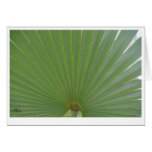 Palm Frond Greeting Card