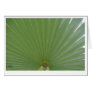 Palm Frond Greeting Card