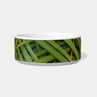 Palm Fronds with Palm Tree white text tropical petbowl