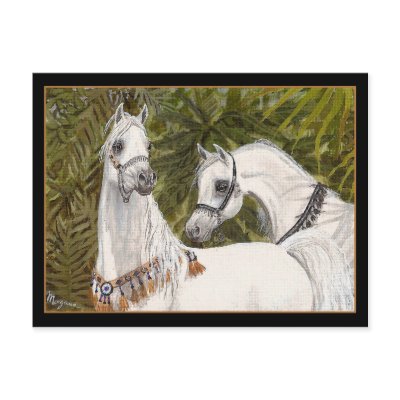 Palm Grove Arabian horse postcard