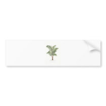 Palm illustration series - plate 25 bumper stickers