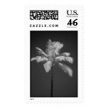 Palm in Infrared Postage