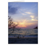 Palm Island Sunset 1 Greeting Cards