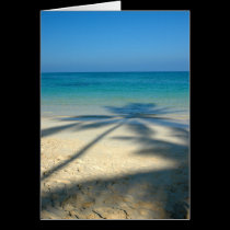 Palm, Lanikai Beach cards by DeepMountain Palm, Lanikai Beach cards