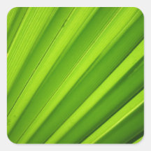 Palm Leaf Detail Square Sticker