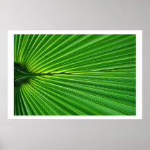 Palm Leaf natural abstract Posters