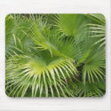 Palm Leaves mousepads by cindy_k Palm Leaves mousepads