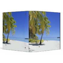 Palm lined beach Cook Islands 3 Binder
