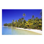 Palm lined beach Cook Islands 3 Photo Art