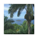 Palm Magnet by loveinvented Palm Magnet