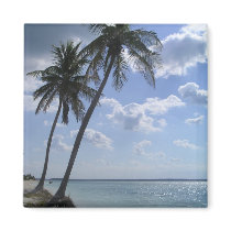 Palm Magnet 2 by loveinvented Palm Magnet 2