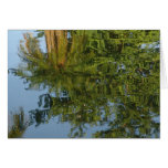 Palm Mirror Greeting Card