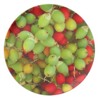 palm nuts green and red. party plates