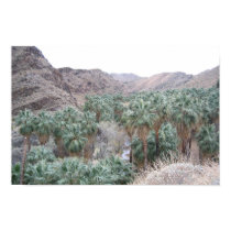 Palm Oasis posters by mozzarella Palm Oasis posters
