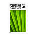 Palm Postage postage by photosbydaniellenice Palm Postage postage