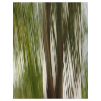 Palm Rain letterhead by Debrene Palm Rain letterhead
