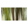 Palm Rain Customized Photo Card