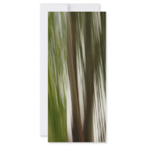 Palm Rain rack cards by Debrene Palm Rain rack cards