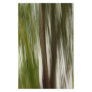 Palm Rain Stationery Paper