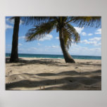 Palm Sands Print