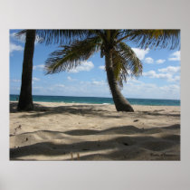 Palm Sands Print