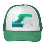 Palm Snow Trucker Hats