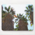 palm springs 1 mousepad