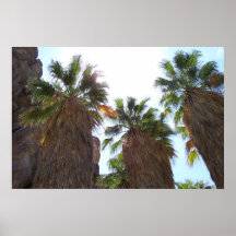 palm springs 1 posters